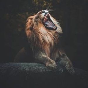 Meet your Posher, Makayla